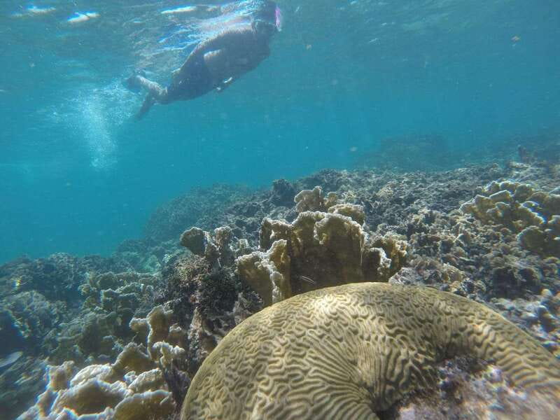 Tulum: Private Snorkel and Sailing Experience - Key Things I’d Prioritize