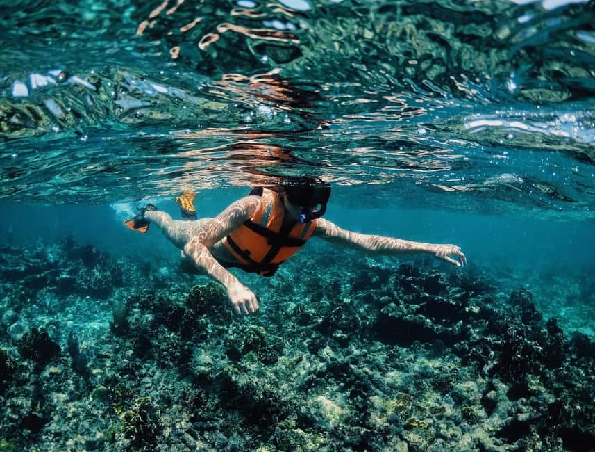 Tulum: Private Snorkel and Sailing Experience - Should You Book This Private Snorkel and Sailing Trip?