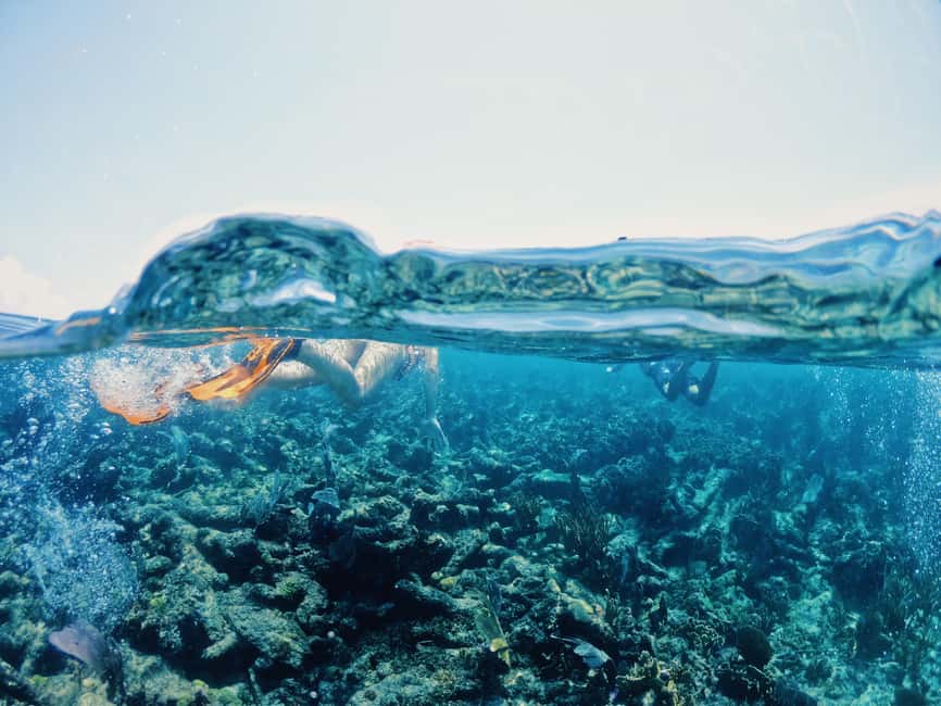 Tulum: Private Snorkel and Sailing Experience - Snacks and Beach Club Time: The Included Finish