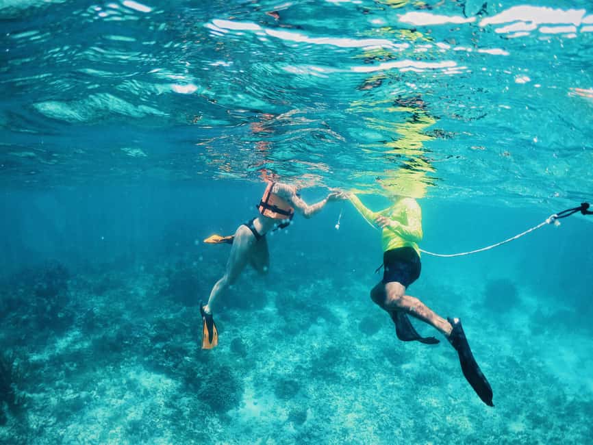Tulum: Private Snorkel and Sailing Experience - Weather, Timing, and Who Should Skip This