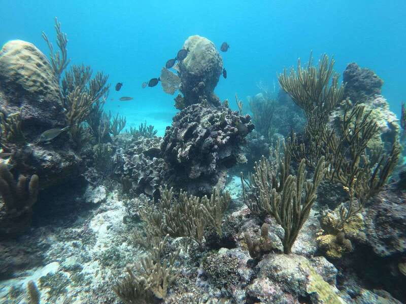 Tulum: Private Snorkel and Sailing Experience - Sailing in Front of the Ruins: The Best Kind of History Photo