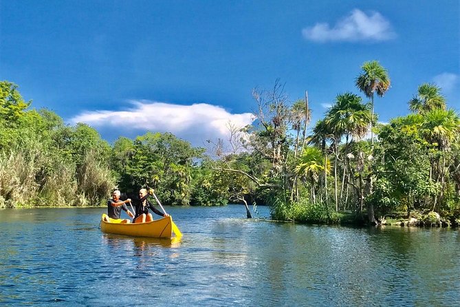 Tulum Ruins and 3 Cenotes - Jungle Adventure - Price and value: $199 for a packed day, with pickup fees that can change the math