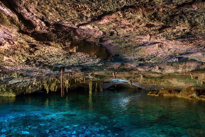 Tulum Ruins and Cenote Guided Tour, from Cancun - Should you book this Tulum and cenote tour?