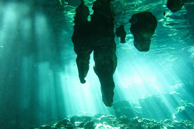 Tulum Ruins & Cenote guided private tour from Tulum and Riviera Maya. - Who this private tour is best for in Tulum