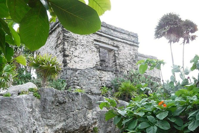Tulum Ruins Tour (Private, Half Day) - Walking at Your Pace, With Time for Photos Without Stress
