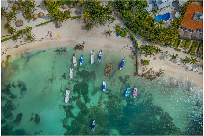Tulum Ruins, Turtles in Akumal and Cenote tour - The combo that makes this tour worth your time