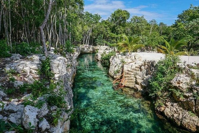 Tulum Ruins visit cenotes house turtle and Sculpture Come to Light - Lunch in the Mayan Zone: A La Carte Regional Food, Cave Mood Included