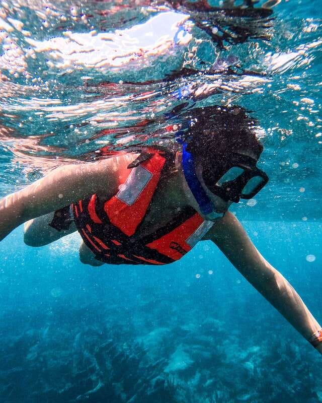 Tulum: Snorkeling at Paradise Reef - Paradise Reef snorkeling for a tight Tulum schedule