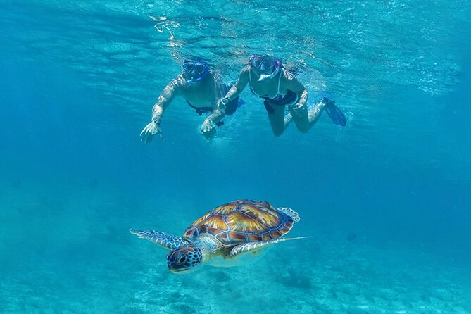 Tulum, Snorkeling with Sea Turtles, Cenote and Beachside Lunch - Tulum Ruins Stop: Mayan Clifftop Views and One Important Rule