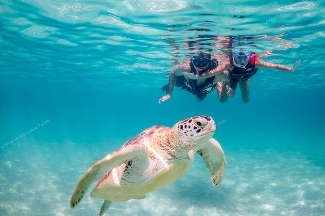 Tulum VIP Private Tour with Sea Turtles & Cenote – Award-Winning - Why This Tulum VIP Day Feels Less Stressful Than DIY