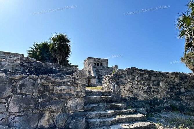 Tulum VIP Private Tour with Sea Turtles & Cenote – Award-Winning - What You Get for $266, and What That Includes in Real Life