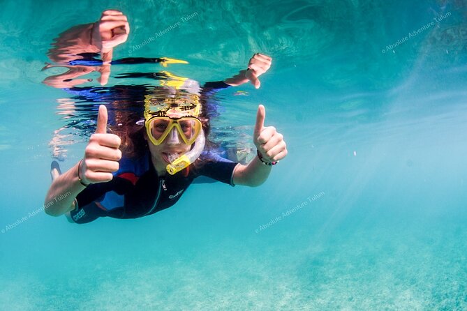 Tulum VIP Private Tour with Sea Turtles & Cenote – Award-Winning - Who This Private Tour Is Best For
