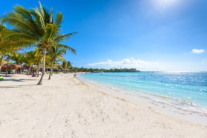 Turtle and Reef Sanctuary Snorkeling - Money-saving and comfort tips before you go
