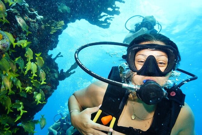 Two Dives and Class for Begginers Divers in Cancun - Key things I’d clock before booking