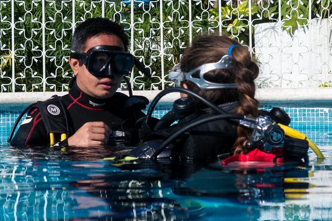 Two reef discovery dives with professional instructor (no experience necessary) - Playa del Carmen Reef Training, Without the Cert Pressure