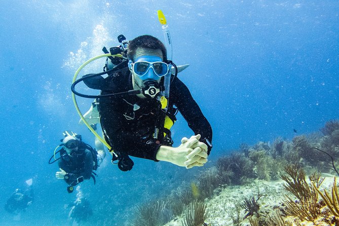 Two reef discovery dives with professional instructor (no experience necessary) - Pool to Ocean: Why the Order Works
