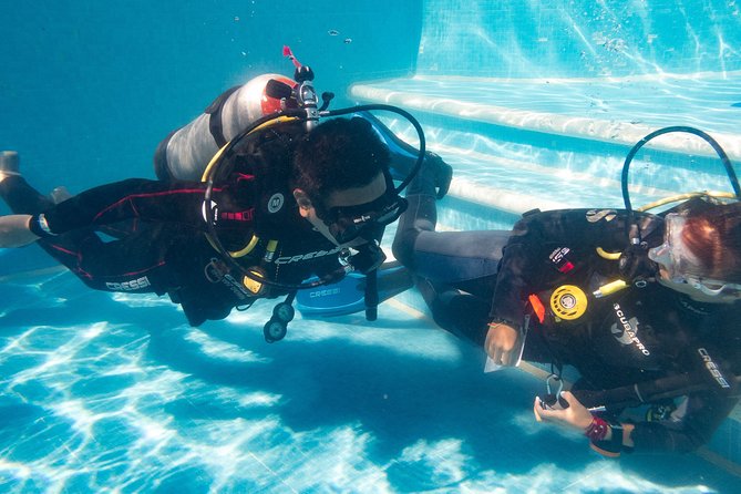 Two reef discovery dives with professional instructor (no experience necessary) - What You Might See Underwater in Playa del Carmen