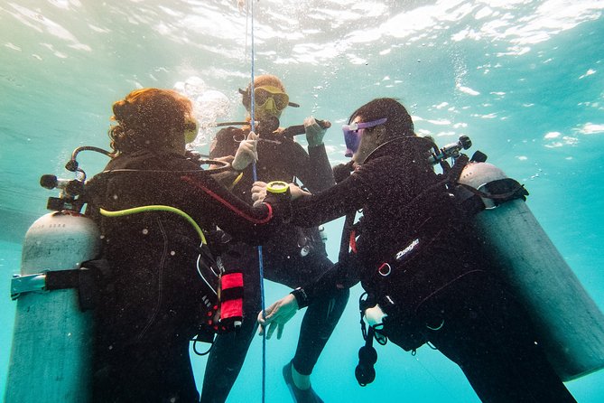 Two reef discovery dives with professional instructor (no experience necessary) - The Morning Setup: eLearning, Gear, and Pool Practice