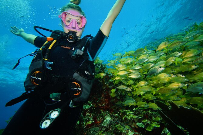 Two Reefs For Certified Divers in Cancun - Key Highlights Worth Prioritizing