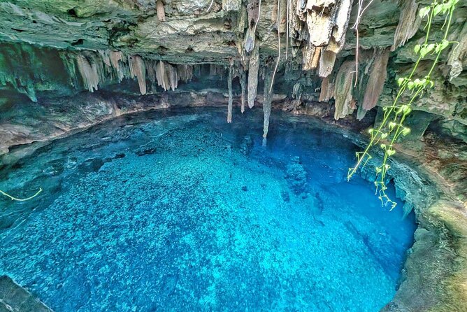 Uxmal, two Amazing Cenotes & Local Food Tour from Mérida - Key highlights you will feel on the day