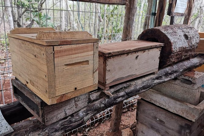 Valladolid Mayan Bees Tour with Lunch or breakfast and Honey Tasting - Honey Tasting: More Than One Flavor, Plus Extra Hive Products