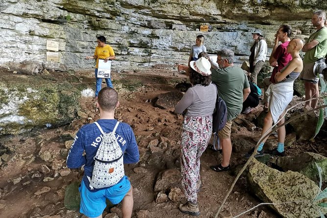 Valladolid Mayan Bees Tour with Lunch or breakfast and Honey Tasting - Lunch or Breakfast Included, and Why That Changes the Value