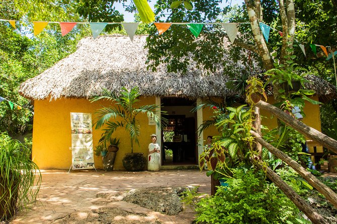 Valladolid Mayan Bees Tour with Lunch or breakfast and Honey Tasting - Who Should Book This Valladolid Bee Tour?