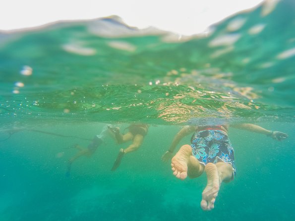 Viator Exclusive: Tulum Ruins, Reef Snorkeling, Cenote and Caves - Playa Maya reef snorkeling: gear, sea life, and real-water conditions