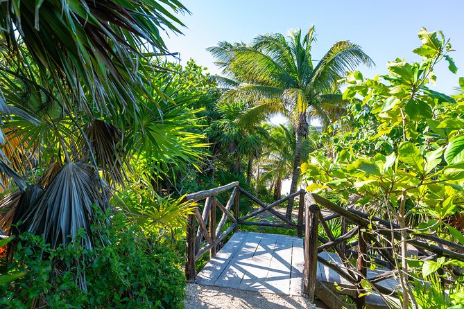 Viator Exclusive: Tulum Ruins, Reef Snorkeling, Cenote and Caves - Lunch, photos, and what to pack for a wet day