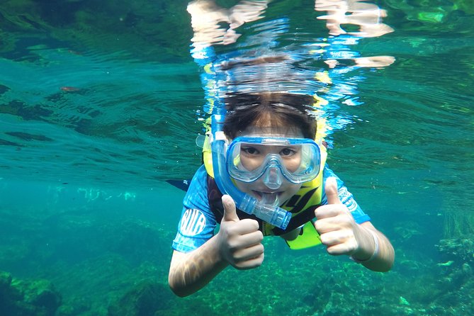 VIP Cenotes Private Tour - VIP Cenotes From Playa del Carmen: The Real Reason It Feels Easier