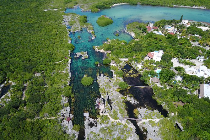 VIP Cenotes Private Tour - Cenote Xunaan Ha: jumping and swimming in an open cenote