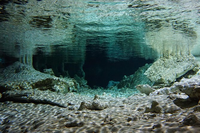 VIP Cenotes Private Tour - The snorkel guide factor: how you actually see more