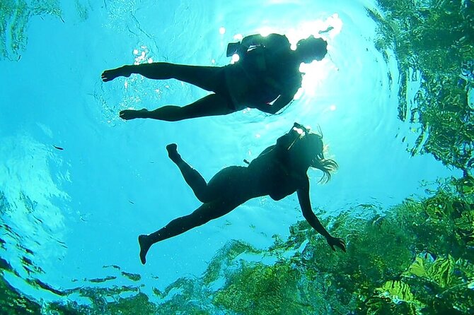 VIP Cenotes Private Tour (half-day) - Price and what $185 really covers