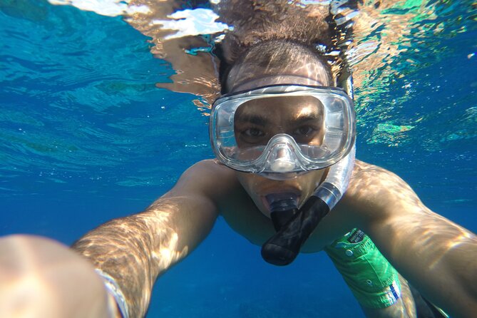 VIP Cenotes Private Tour (half-day) - Why the private tour format feels worth it