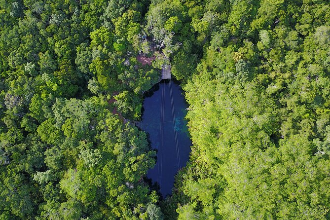 VIP Cenotes & Turtles Private Tour - Why this VIP combo works: turtles first, cenotes next
