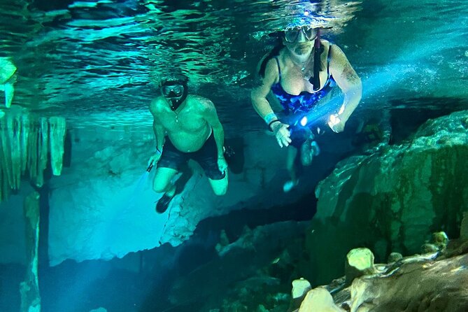 VIP Cenotes & Turtles Private Tour - Price and value: what you’re paying for in real terms