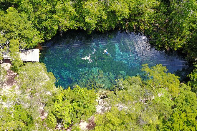 VIP Tulum & Turtles Private Tour - Hotel pickup and round-trip transfers across the Riviera Maya