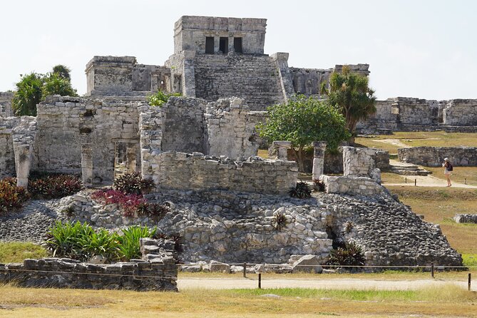 VIP Tulum & Turtles Private Tour - Who should book this VIP Tulum & Turtles tour