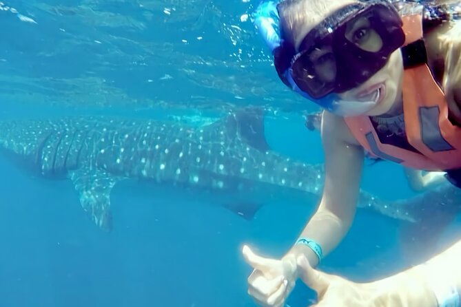 Whale Shark Adventure in Isla Mujeres and Cancun - The Caribbean Run: Searching Takes Time