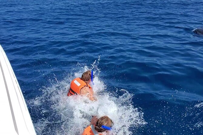 Whale Shark Adventure in Isla Mujeres and Cancun - Snorkel Stops, Lunch, and the Ceviche Moment