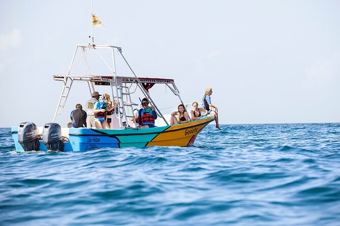 Whale Shark and Snorkeling Adventure from Isla Holbox - Cabo Catoche Snorkeling Stop: Reef Time After the Main Event