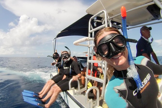Whale shark encounter Private tour - swim with whale shark cancun - Isla Mujeres lunch and Playa Norte time, so the day has balance