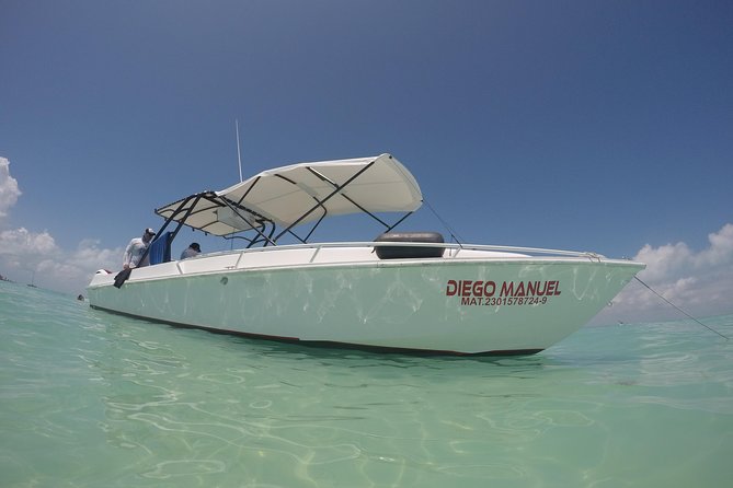 Whale shark encounter Private tour - swim with whale shark cancun - What to pack and how to make your swim better