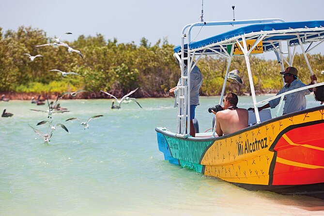 Whale Shark Group Adventure from Isla Holbox - Whale shark timing and weather, the two real variables
