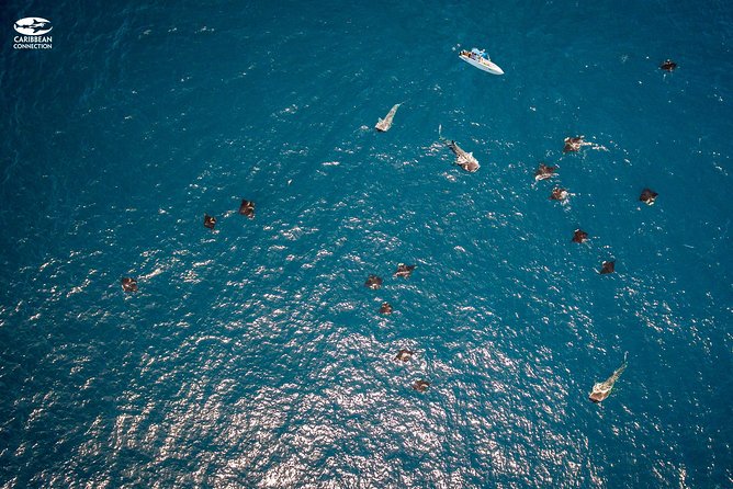 Whale Shark Swimming and Isla Mujeres Beach Tour - Isla Mujeres and Playa Norte, The Beach Stop That Balances the Whole Day