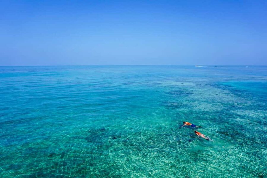 Whale Shark swimming ocean safari all included tour - Meals and drinks on board: you’re not just buying time