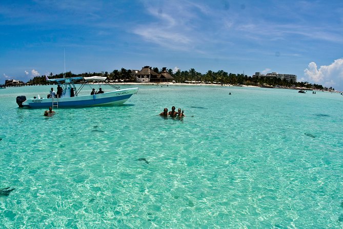 Whale Shark Tour from Cancun, Playa del Carmen, Tulum and Riviera Maya - What the $199 Price Covers (And What You Will Pay Extra)