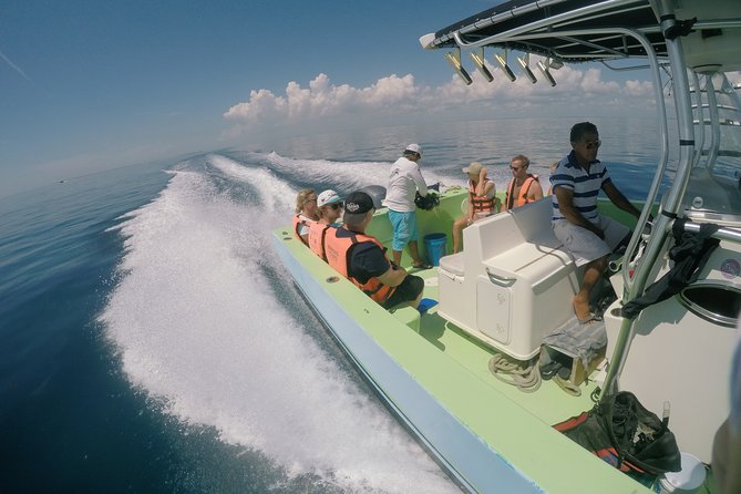 Whale Shark Tour from Cancun, Playa del Carmen, Tulum and Riviera Maya - Wetsuits, Photo Packages, and Other Comfort Upgrades