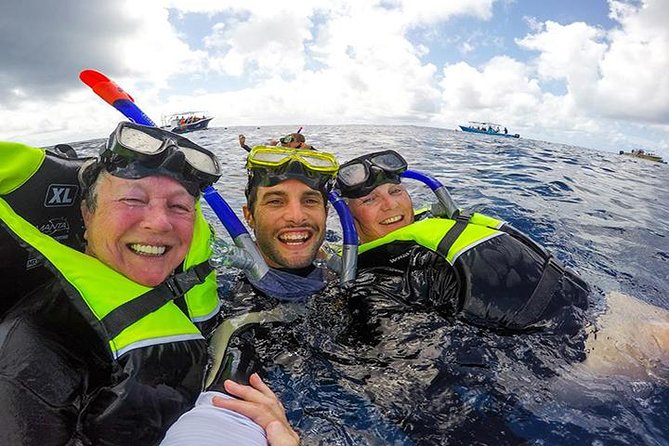 Whale Shark Tour from Cancun, Playa del Carmen, Tulum and Riviera Maya - Meeting Point Near Puerto Juarez: The Easy Part If You Arrive Ready
