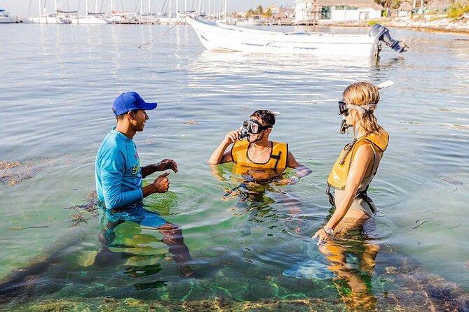 With Turtles, Shipwreck, Cenote, and Reef and Transport Included - Gear and safety: how beginners feel comfortable